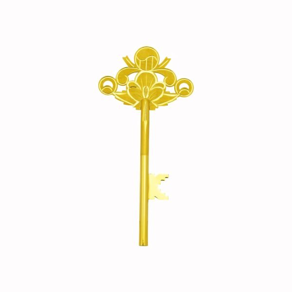 순금 행운 의 열쇄 10 돈 24k golden key